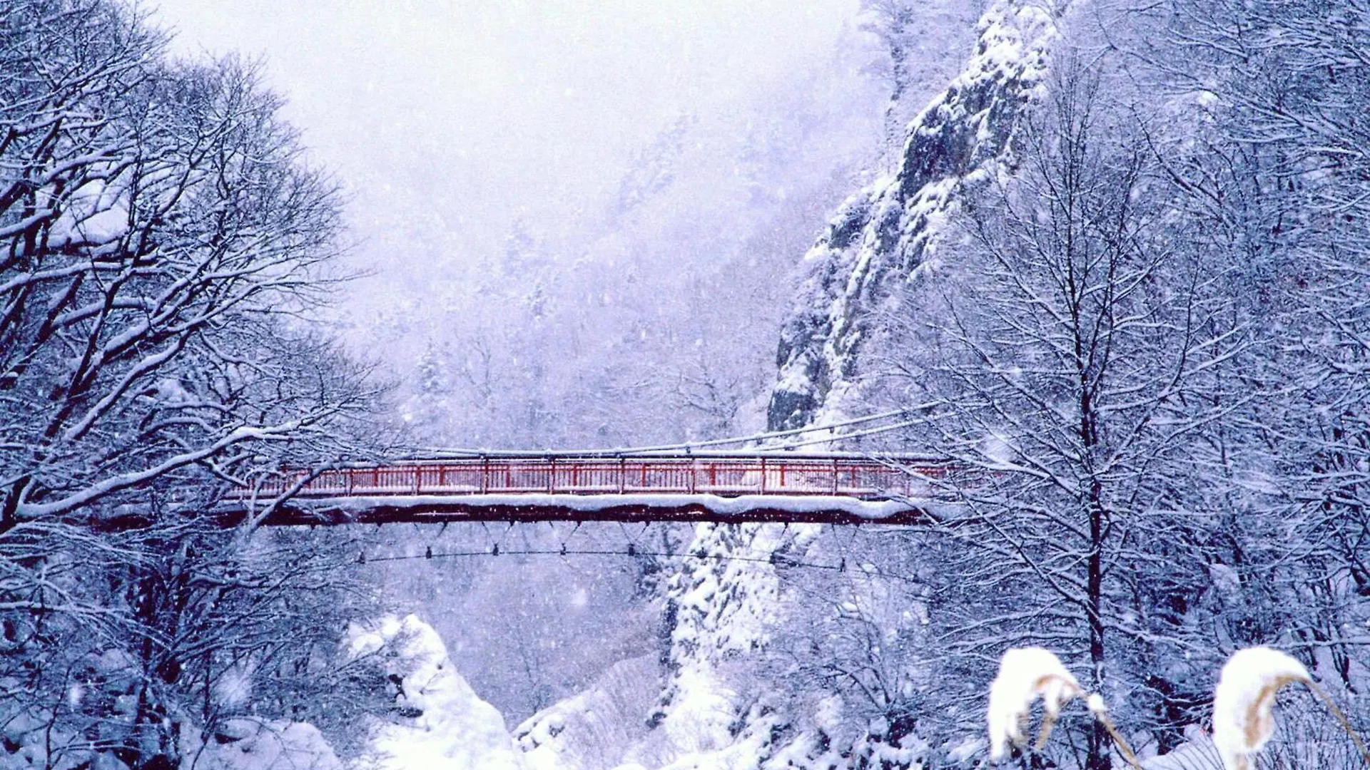 公寓 札幌Primal公寓 日本